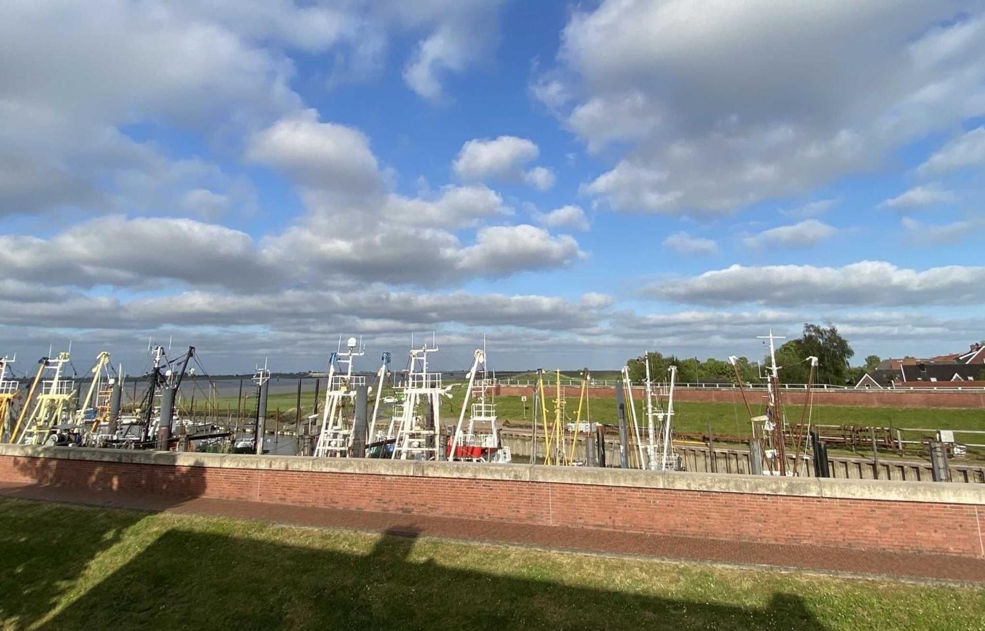 Meerhuus_ 45229 *